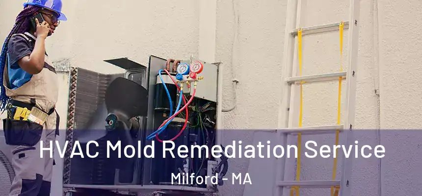  HVAC Mold Remediation Service Milford - MA