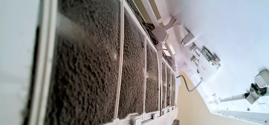 Preventive Air Duct Bacteria Removal in Milford