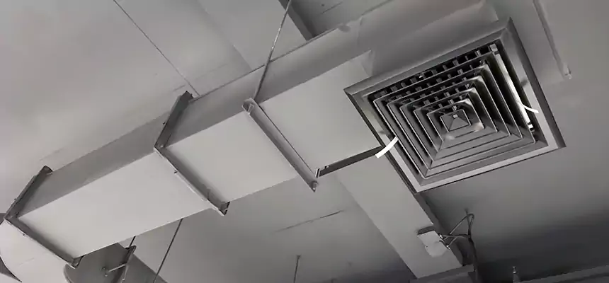 Restorative Allergy Relief Vent Cleaning – Coil, Blower & Housing Detail in Milford