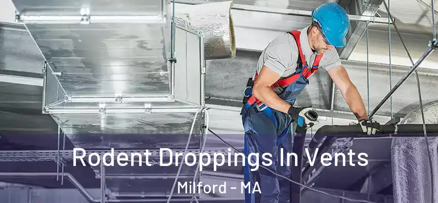  Rodent Droppings In Vents Milford - MA