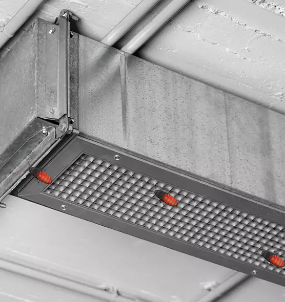 Affordable Insect Removal from Air Ducts in Milford, MA