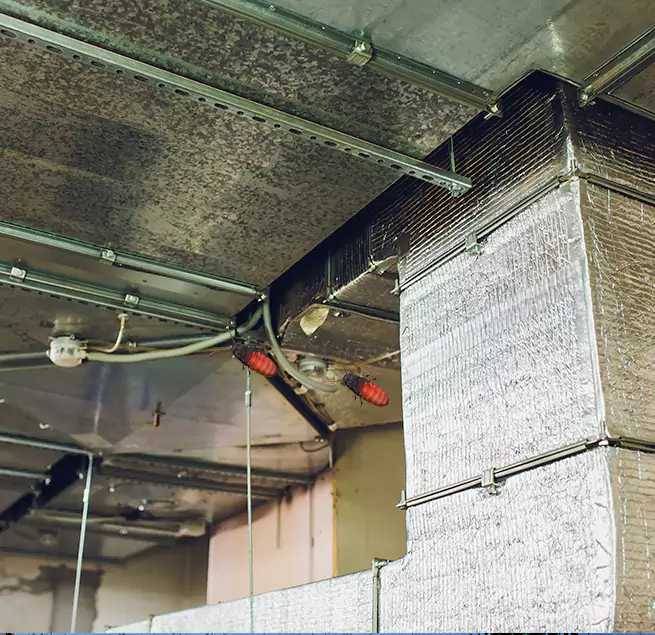 Why Homeowners & Businesses Trust Us in Milford, MA?