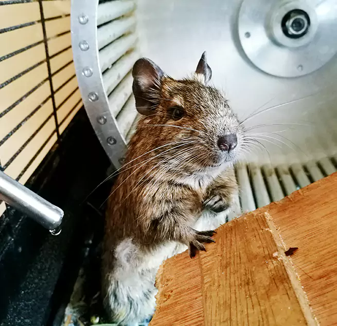 Why Homeowners & Businesses Trust Us Milford, MA