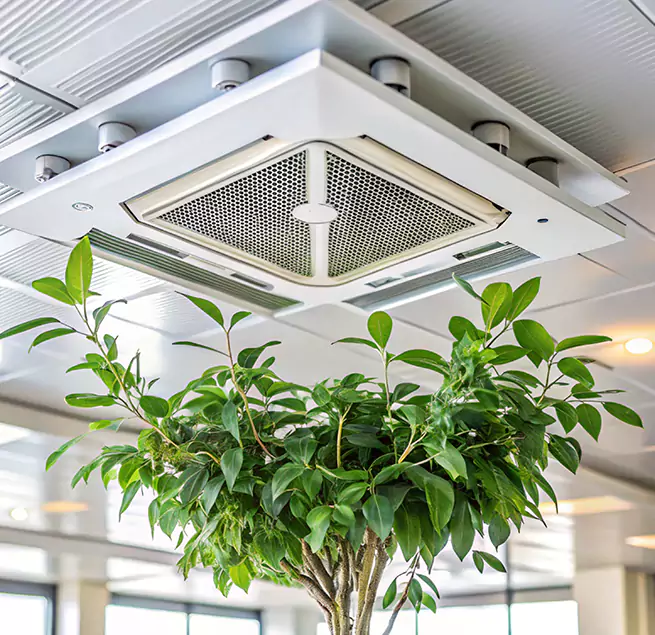 Why Homeowners & Businesses Trust Us in Milford, MA?